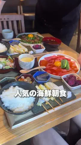 名古屋グルメ【ナゴグル】🍤のTikTok投稿