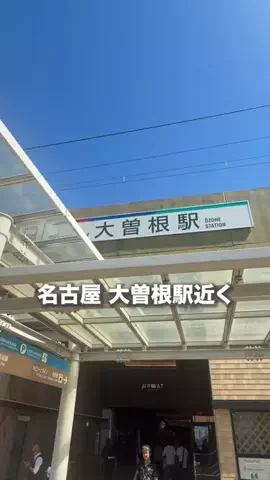 名古屋グルメ【ナゴグル】🍤のTikTok投稿