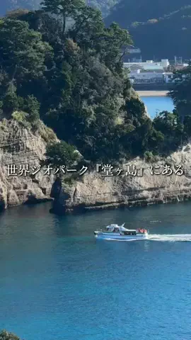 静岡グルメ／SHIZUOKA SELECTのTikTok投稿