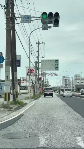 あや｜沖縄グルメのTikTok投稿