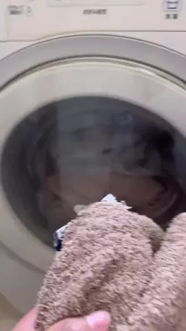 あしちゃんと考える家づくりのTikTok投稿