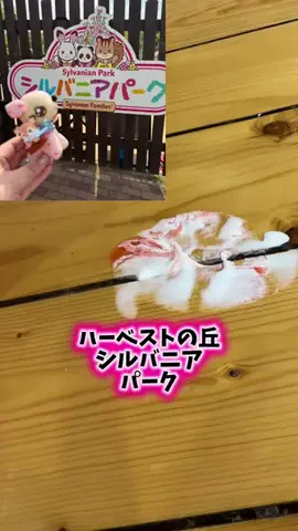 みやも人形のTikTok投稿