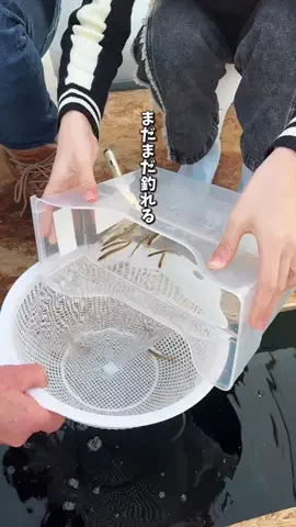 nobu_odekakeのTikTok投稿