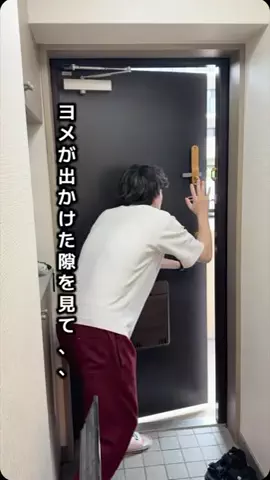 きょうきみファミリー⛷️のTikTok投稿