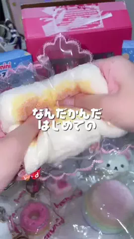 ももいぬのTikTok投稿