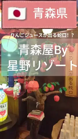 旅好き子さんのTikTok投稿