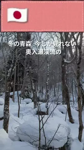 旅好き子さんのTikTok投稿