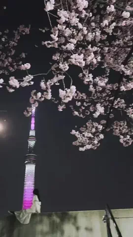 KazukiのTikTok投稿