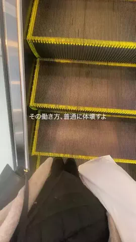 ゆみ｜新卒1年目で転職した女のTikTok投稿