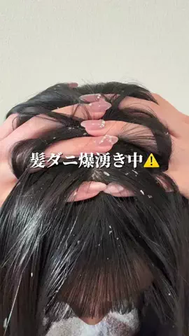 髪ちゅるんねきのTikTok投稿