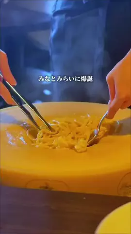 ヨーコ@横浜グルメ・カフェのTikTok投稿