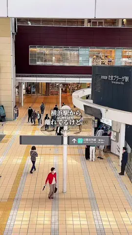 ヨーコ@横浜グルメ・カフェのTikTok投稿