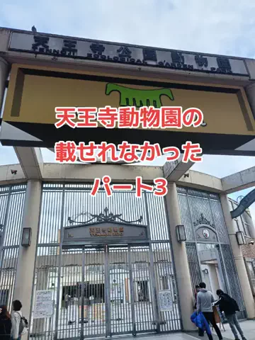 野良猫　イチくんとナナちゃんのTikTok投稿