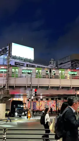 うに子 東京のITベンチャーOLのTikTok投稿