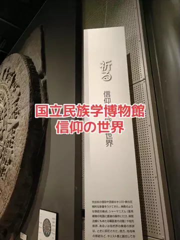 野良猫　イチくんとナナちゃんのTikTok投稿