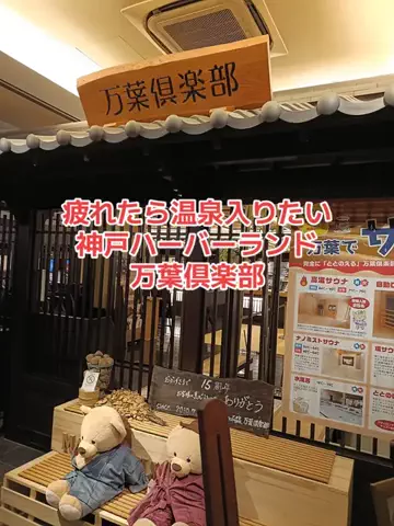 野良猫　イチくんとナナちゃんのTikTok投稿