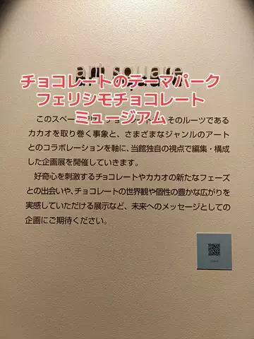 野良猫　イチくんとナナちゃんのTikTok投稿