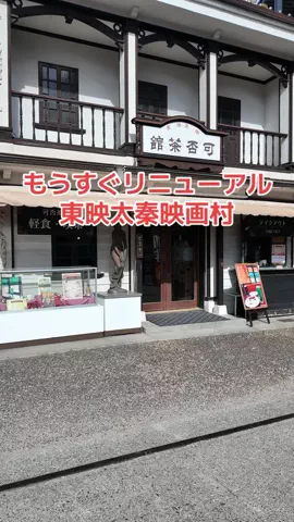 野良猫　イチくんとナナちゃんのTikTok投稿