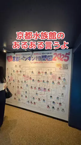 野良猫　イチくんとナナちゃんのTikTok投稿