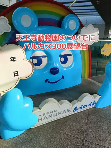 野良猫　イチくんとナナちゃんのTikTok投稿