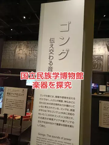 野良猫　イチくんとナナちゃんのTikTok投稿