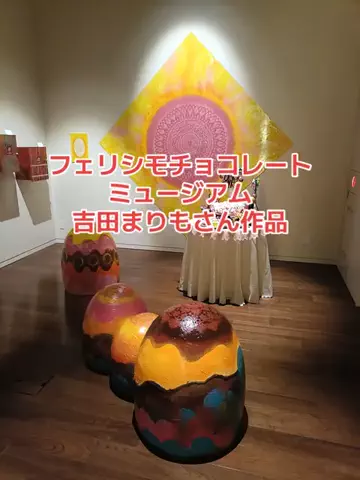 野良猫　イチくんとナナちゃんのTikTok投稿