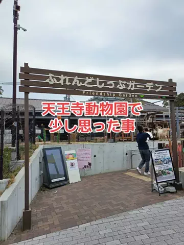 野良猫　イチくんとナナちゃんのTikTok投稿