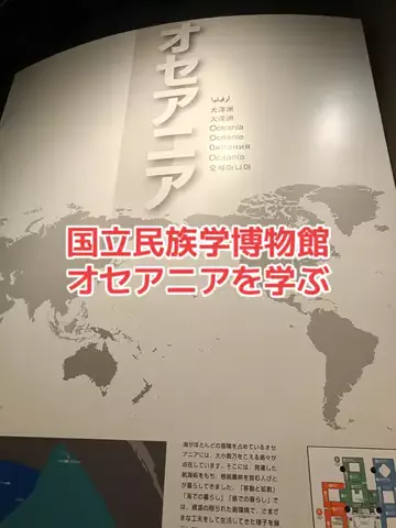 野良猫　イチくんとナナちゃんのTikTok投稿