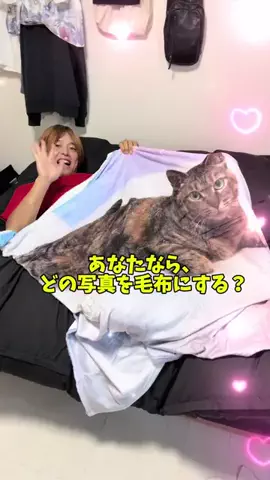 Nitera/にてら🐻‍❄️🎆のTikTok投稿