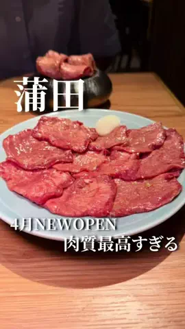 コアラグルメ|大人の食体験のTikTok投稿