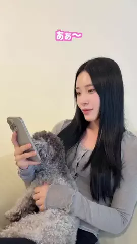 ミョリムのTikTok投稿
