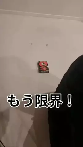 エビ塾のTikTok投稿