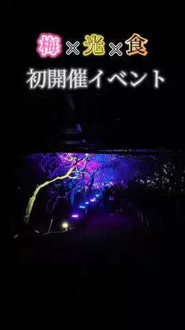 茨城ゆださん【茨城観光＆グルメ】のTikTok投稿