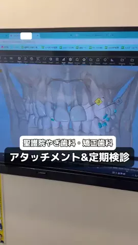 【おいでやす】京都観光/グルメのTikTok投稿