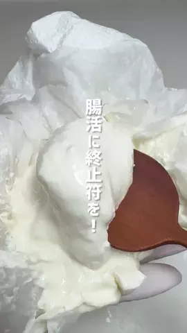 【料理研究家】水野あきのTikTok投稿