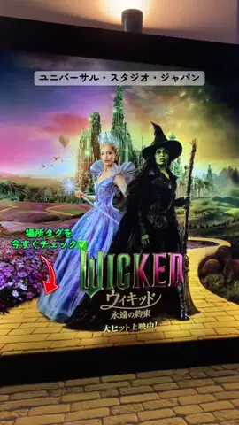 すずめのTikTok投稿