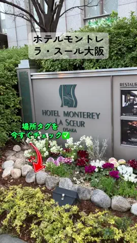 すずめのTikTok投稿