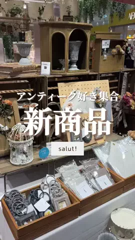 はるの𓊆 好きを見逃さない新作雑貨速報 𓊇のTikTok投稿