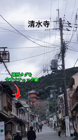 すずめのTikTok投稿