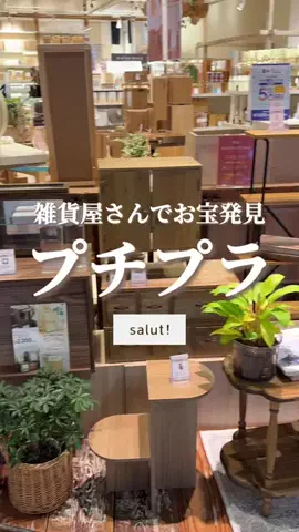 はるの𓊆 好きを見逃さない新作雑貨速報 𓊇のTikTok投稿