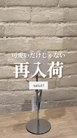 はるの𓊆 好きを見逃さない新作雑貨速報 𓊇のTikTok投稿