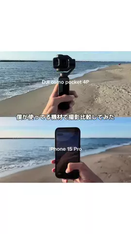 いねのTikTok投稿