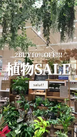 はるの𓊆 好きを見逃さない新作雑貨速報 𓊇のTikTok投稿