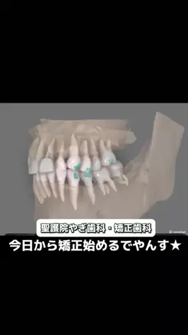 【おいでやす】京都観光/グルメのTikTok投稿