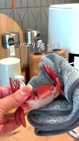 さとこのTikTok投稿