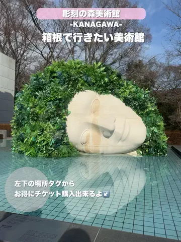 群馬発すー旅⌇旅と暮らしのTikTok投稿