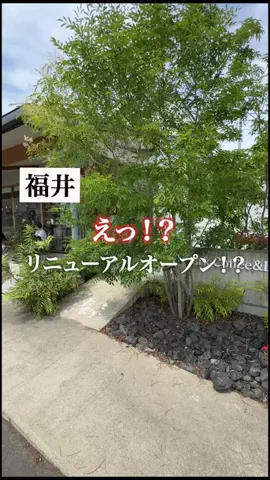 けんてぃー　福井の魅力を世界へのTikTok投稿