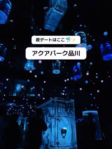 群馬発すー旅⌇旅と暮らしのTikTok投稿