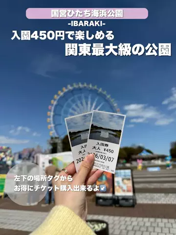 群馬発すー旅⌇旅と暮らしのTikTok投稿