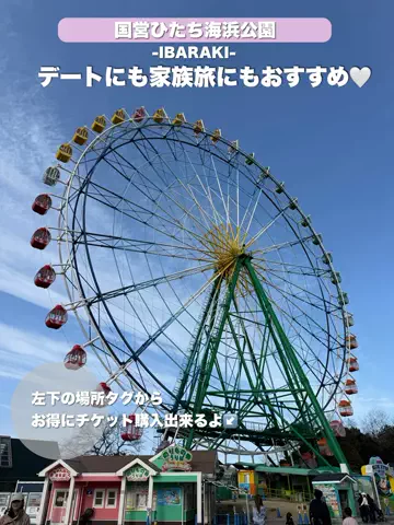 群馬発すー旅⌇旅と暮らしのTikTok投稿